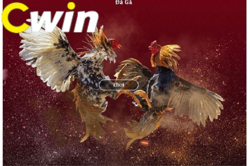 Tổng quan về những đặc điểm phổ biến nhất của các công viên giải trí hạng Banca30 - Banca30