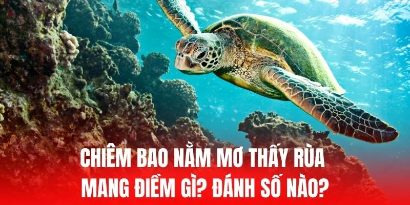 Kinh88 cung cấp nhiều ưu đãi hấp dẫn cho thành viên Kinh88 - Kinh88