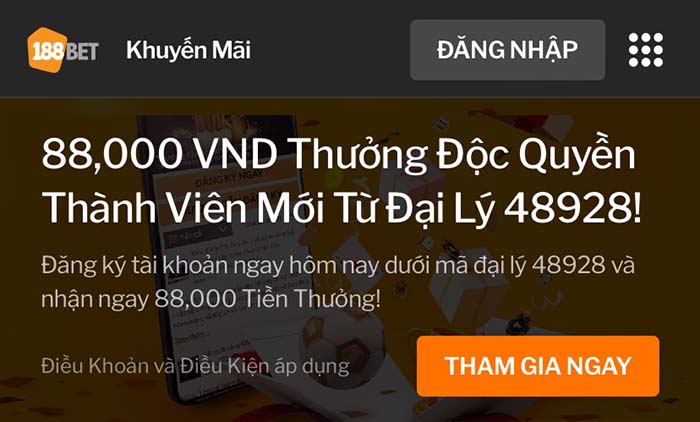 Betvisa và các dịch vụ cơ bản - Betvisa