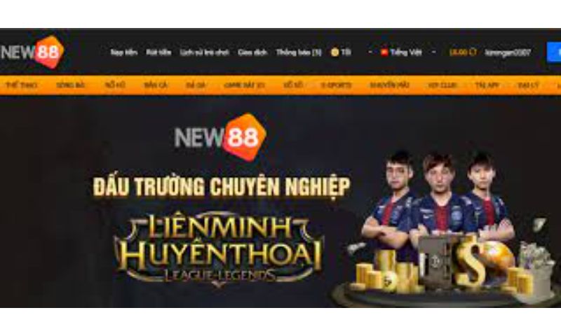 Kết quả và thống kê cuộc thi Kinh88 - Kinh88