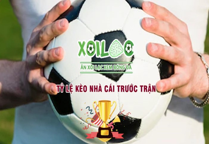 Mb88 cung cấp một hệ thống cá cược chất lượng cao - Mb88