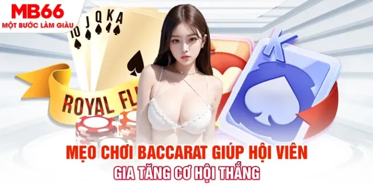 Năng lực và khả năng thích ứng V99 - V99