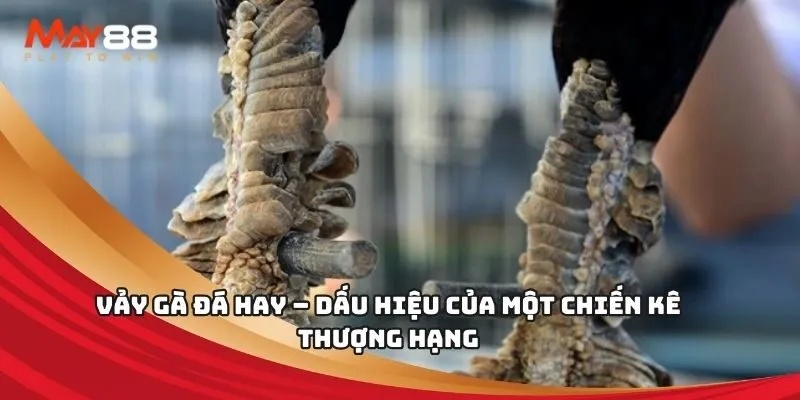 Đánh giá của người chơi Ggwin - Ggwin
