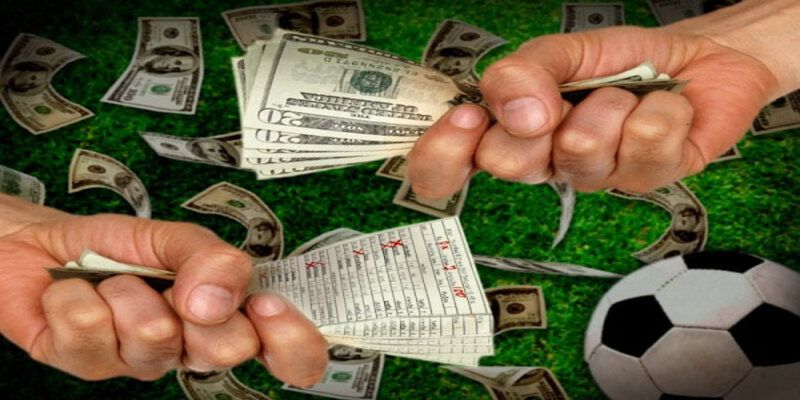 Thông tin quan trọng tóm tắt trên trang web Okvip Games - Okvip