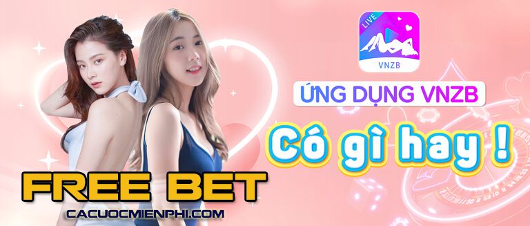 Nguyên nhân và giải pháp cho việc các liên kết Raybet bị chặn - Raybet